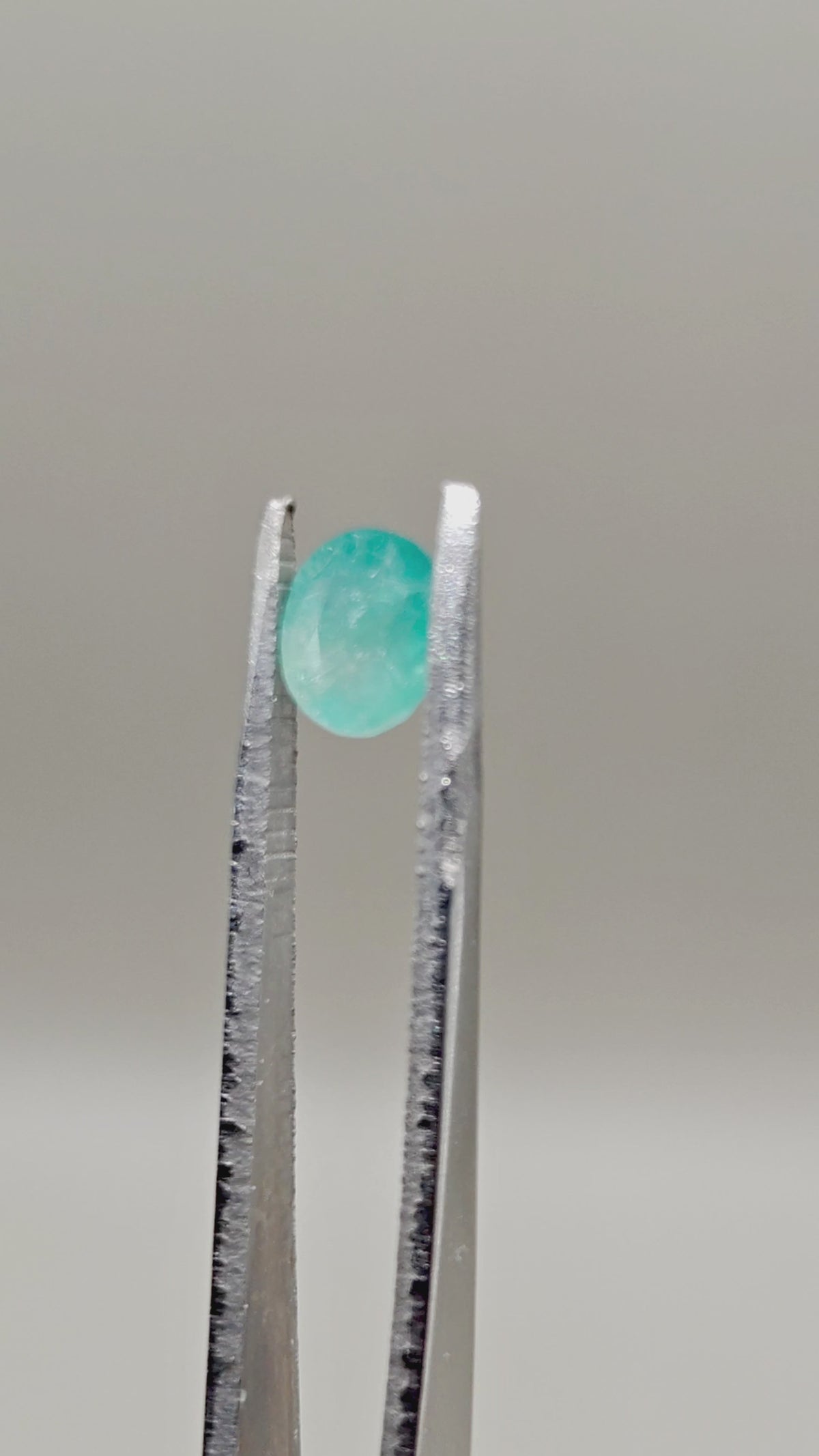 天然硼铝镁石 1.33 ct 椭圆形