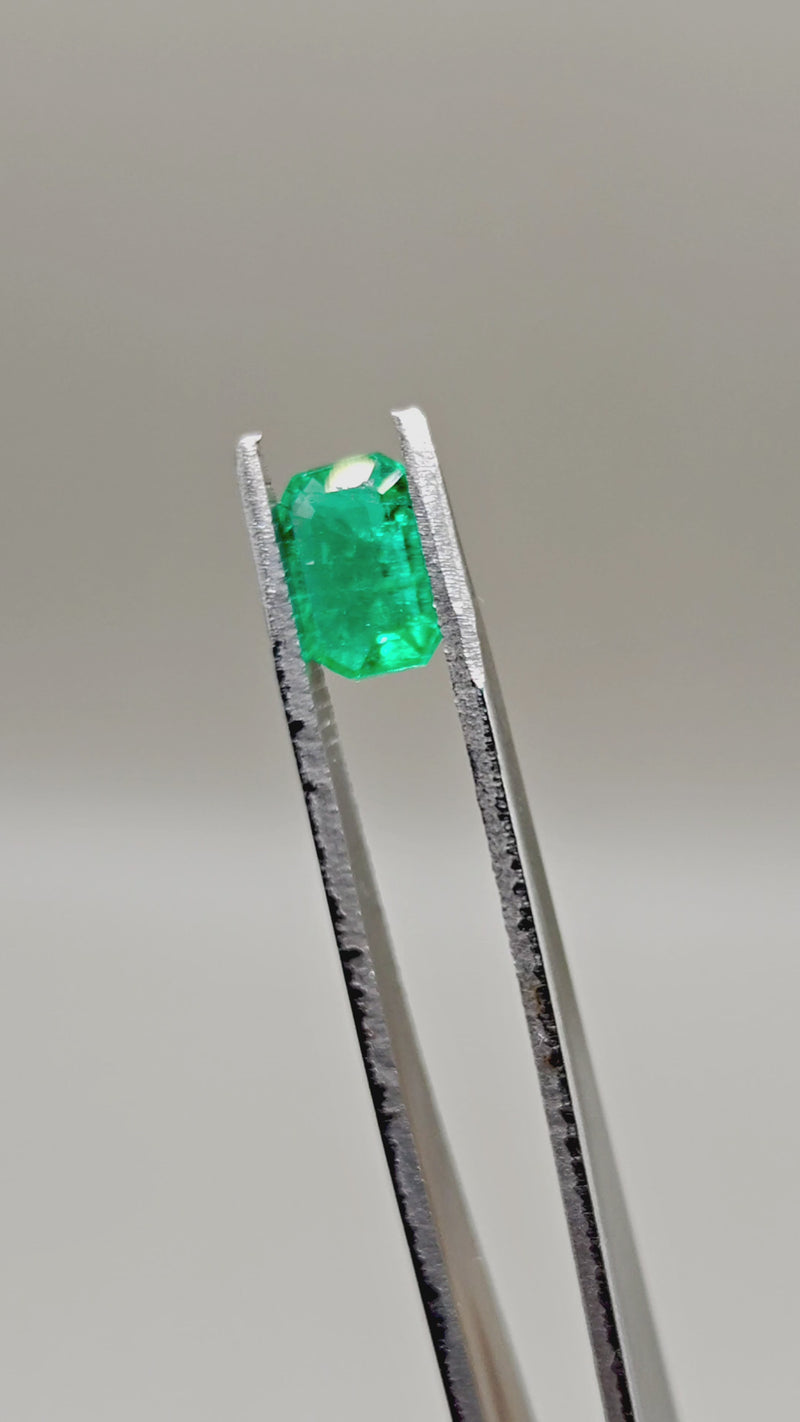 Natural Emerald — 1.72 ct — Octagonal