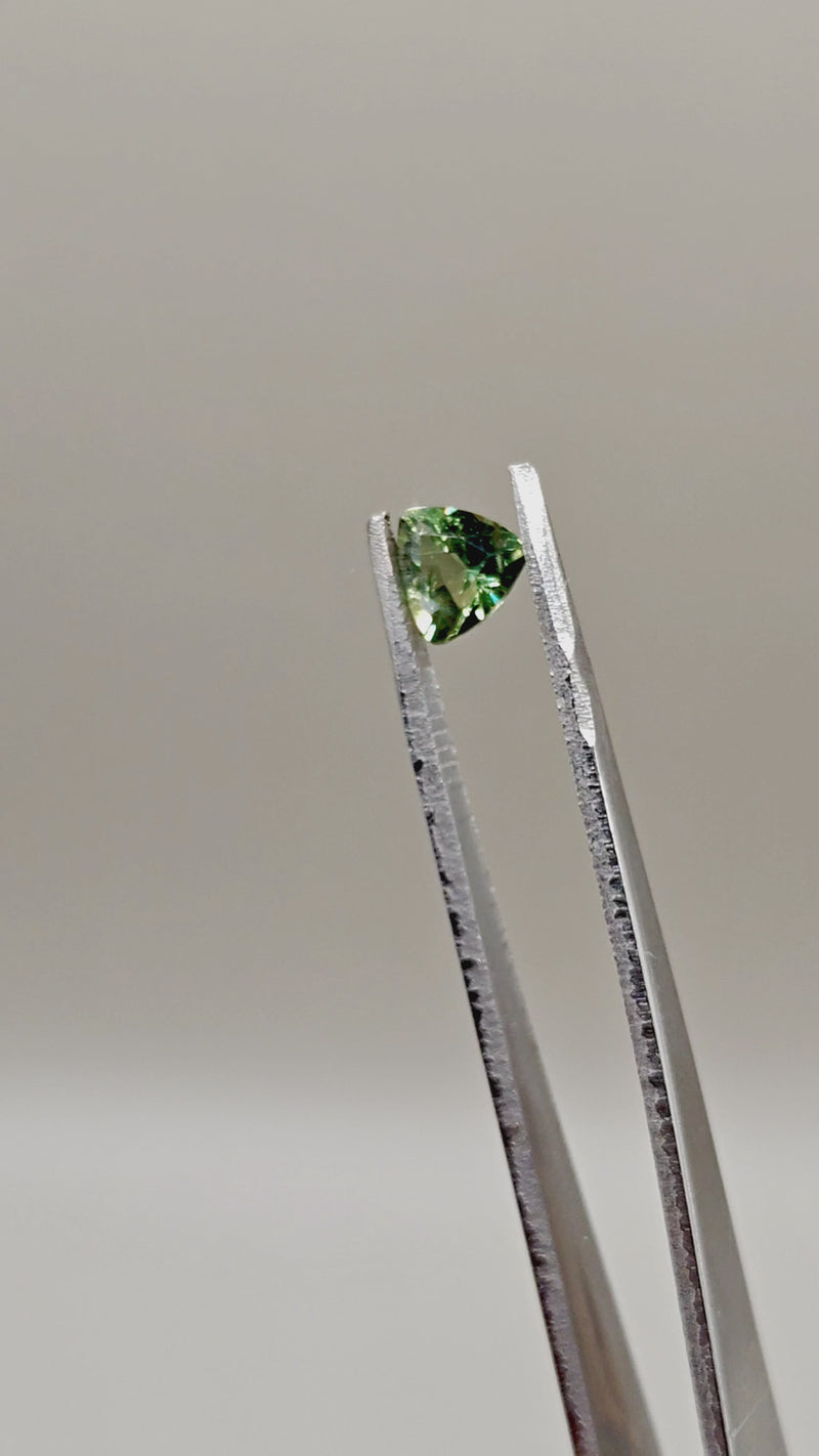 Natural Sapphire — 1.41 ct — Trillion