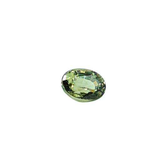 Dermantoid